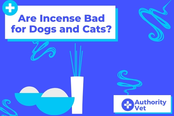 Are Incense Bad for Dogs and Cats