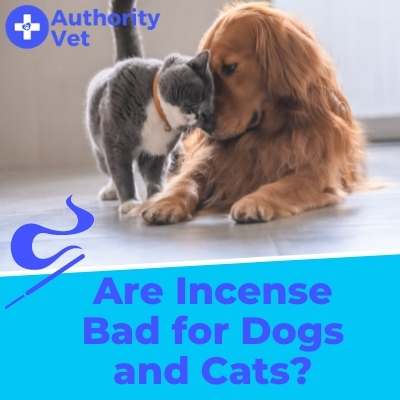 Are Incense Bad for Dogs and Cats?