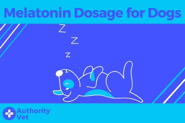 Melatonin Dosage Chart for Dogs