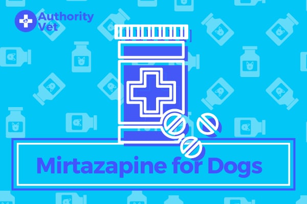 is mirtazapine safe for dogs